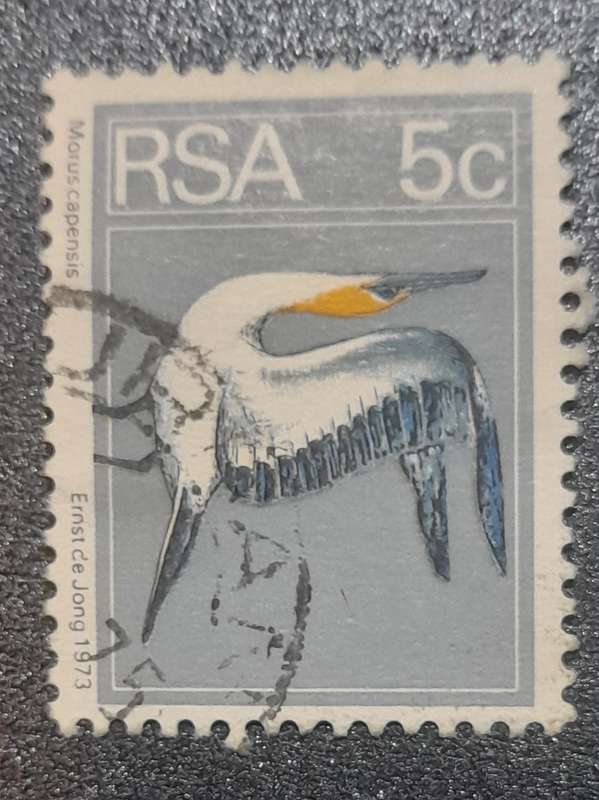South Africa  Morus Capensis 1973  5c