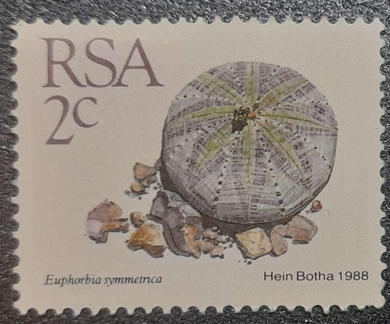 South Africa Euphorbia Symmetrica 1988  2c Stamp