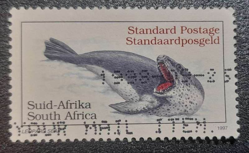 South Africa  Leopard Seal 1997  Stamp