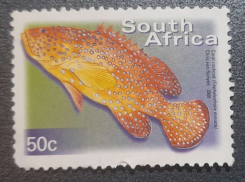 South Africa  Carol Rockcod  Stamp 50c