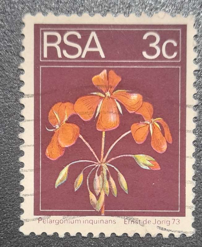 South Africa Pelargonium Inquinans  1973 3c Stamp
