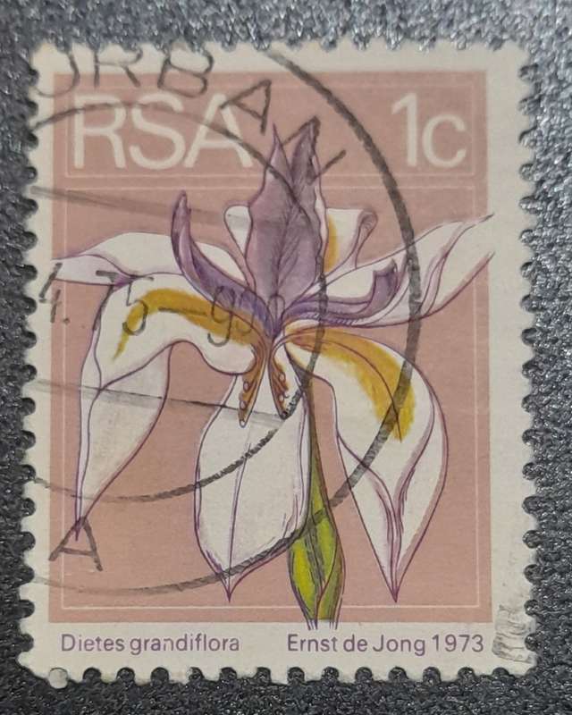 South Africa Dietes Grandiflora 1973 1c Stamps