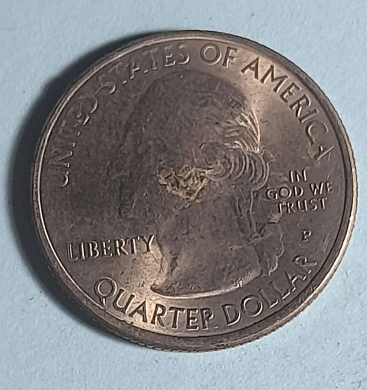 Usa coin quater dollar