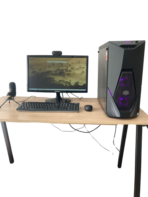 Complete Gaming PC Setup - Custom PC, Samsung Monitor, Wireless Mouse, Webcam, Microphone & Keyboard