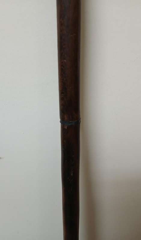 African hardwood Walking stick Central/ lowerAfrica
