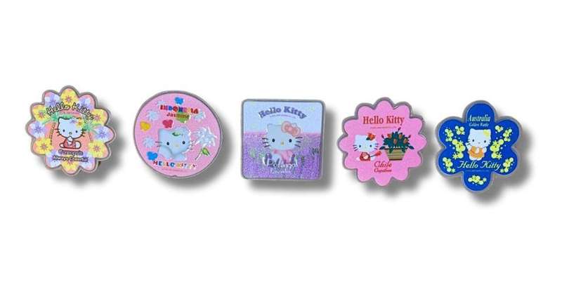 Vintage Hello Kitty Flower & Country Series Pin Badge Set  5pcs  Sanrio Collectors Edition