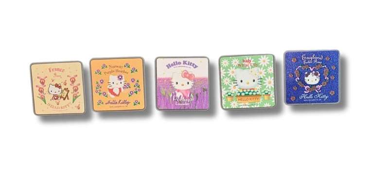 Vintage Hello Kitty Flower & Country Series Pin Badge Set  5pcs  Sanrio Collectors Edition