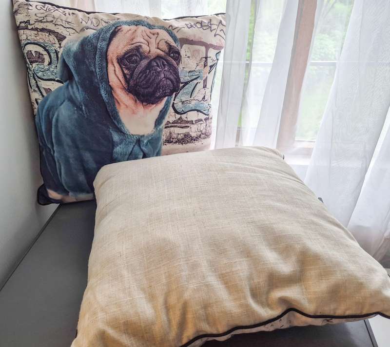 Lounge Cushions (x2)