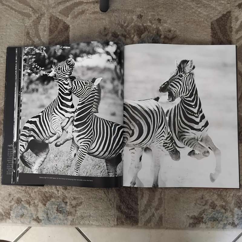 LARGE COFFEE TABLE BOOK - REFLECTIONS (HPH Publishing)
