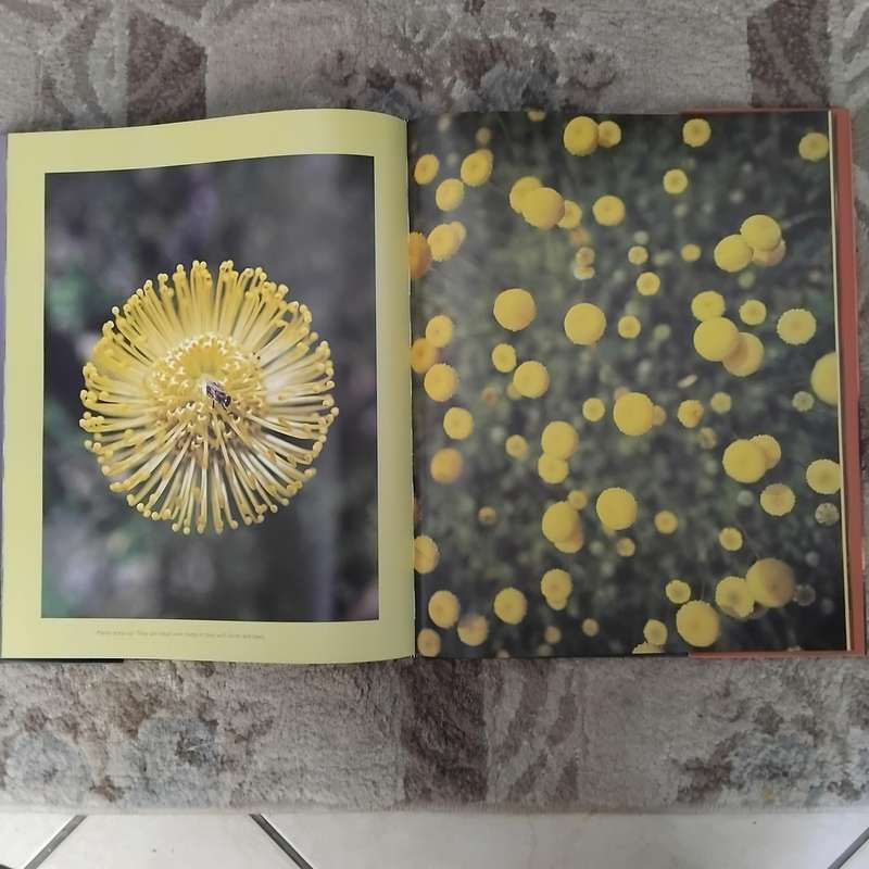 LARGE COFFEE TABLE BOOK - REFLECTIONS (HPH Publishing)