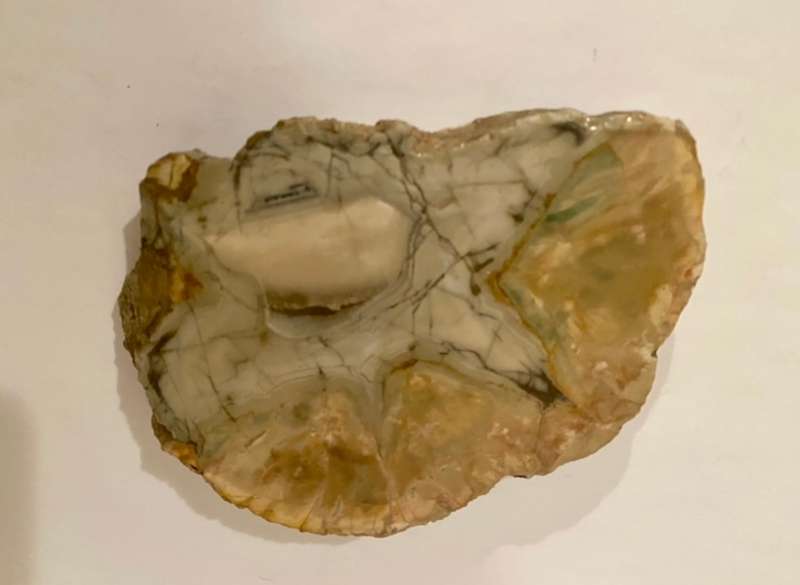 Fossilised DINOSAUR Egg !!!