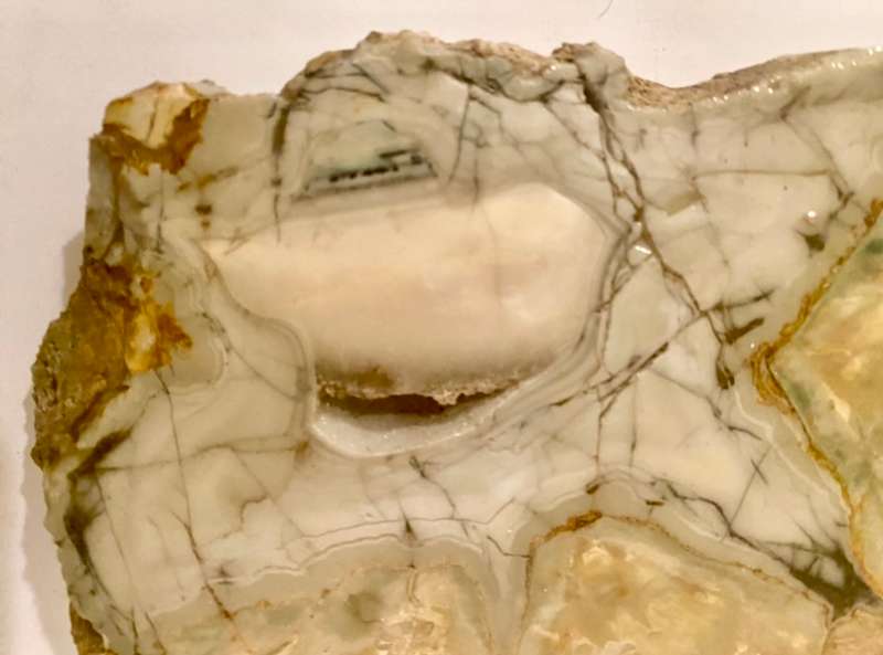 Fossilised DINOSAUR Egg !!!