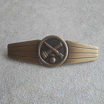 German Air Force Badges With Full Pilot Wings