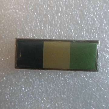 Signals Beret Balkie - Both Pins Intact