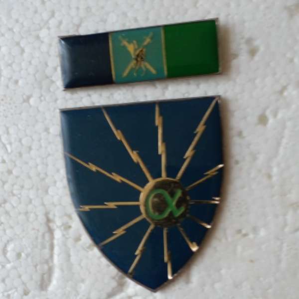 School Of Signals MSF And Command Balkie - All Pins Intact