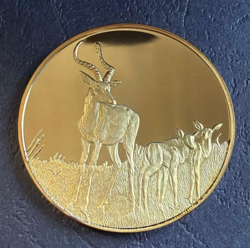 Gold Plated 1 OUNCE Silver Medallion 37 grams - IMPALA - SA Wildlife Society 50th Anniversary