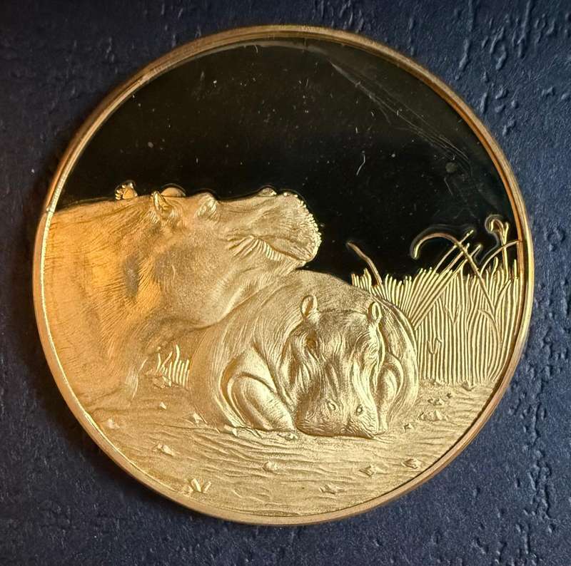 Gold Plated 1 OUNCE Silver Medallion 37 grams - HIPPOPOTAMUS - SA Wildlife Society 50th Anniversary