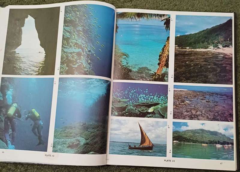 Reef Fishes of the Indian Ocean