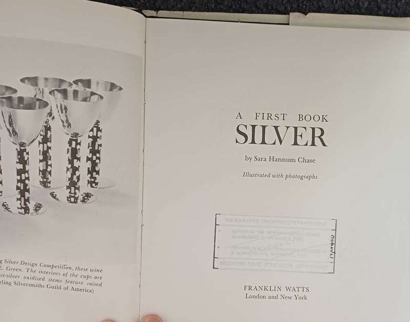 Silver - Sara Hannum Chase