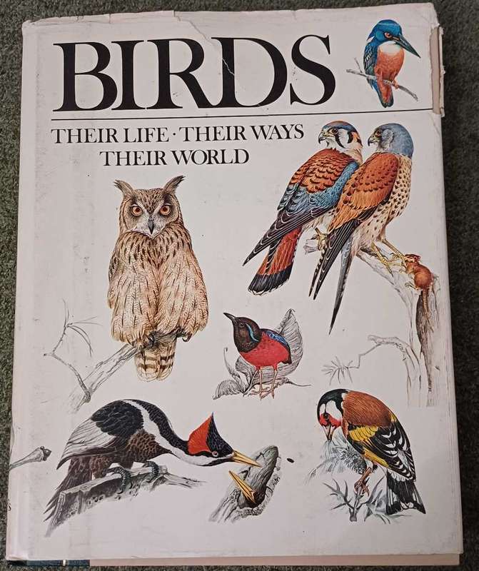 Birds - their life   their ways   their world