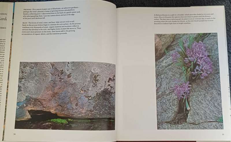 Namaqualand - Freeman Patterson