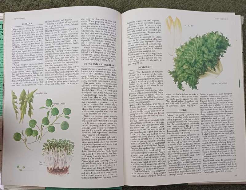 Versatile Vegetables- Carol Bowen