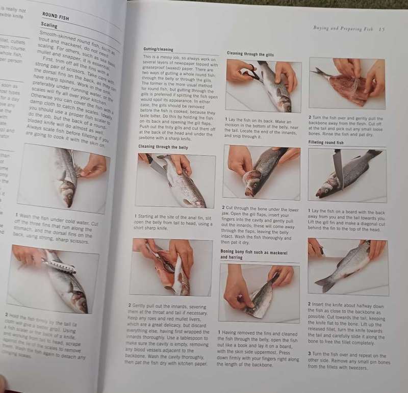 The Illustrated cooks Guide to Fish and Shellfish