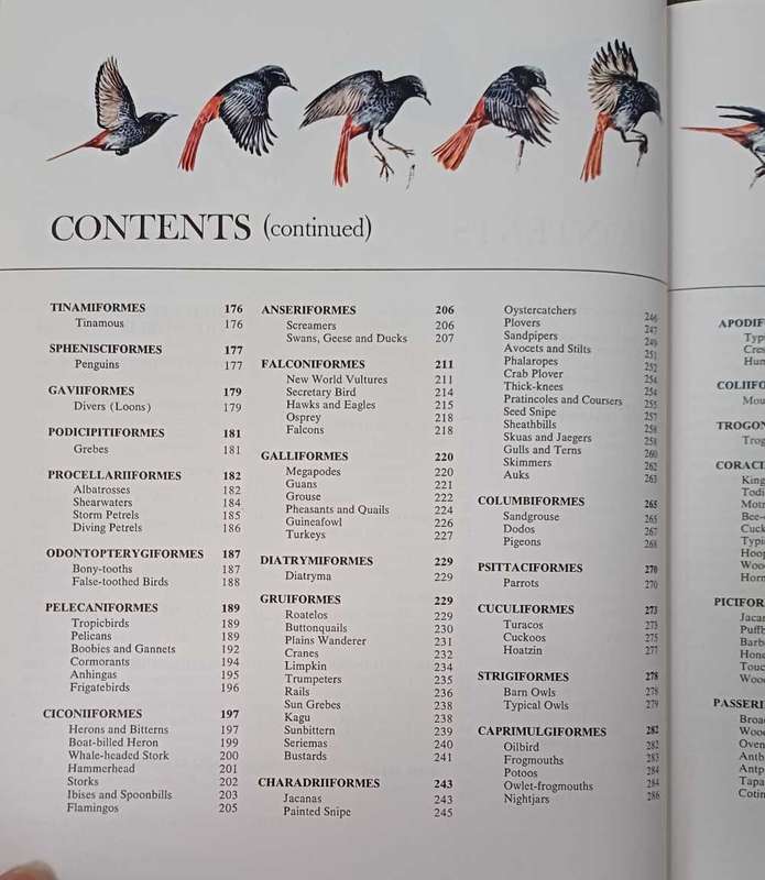 Birds - their life   their ways   their world