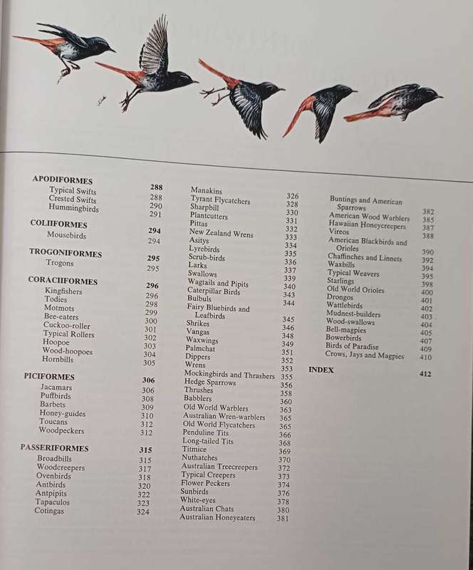 Birds - their life   their ways   their world