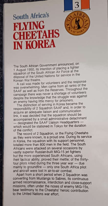 South Africa's Flying Cheetahs in Korea