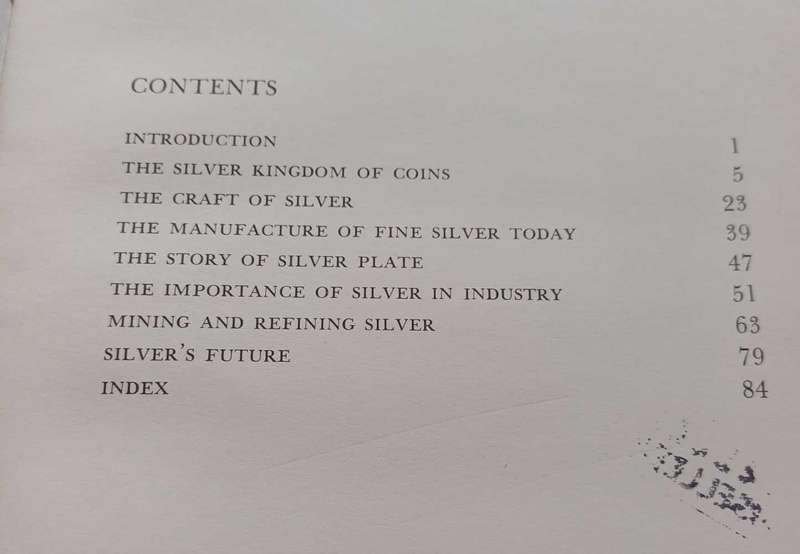 Silver - Sara Hannum Chase