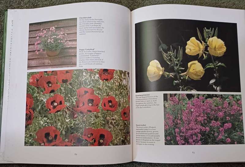 Herbs - their care and cultivation