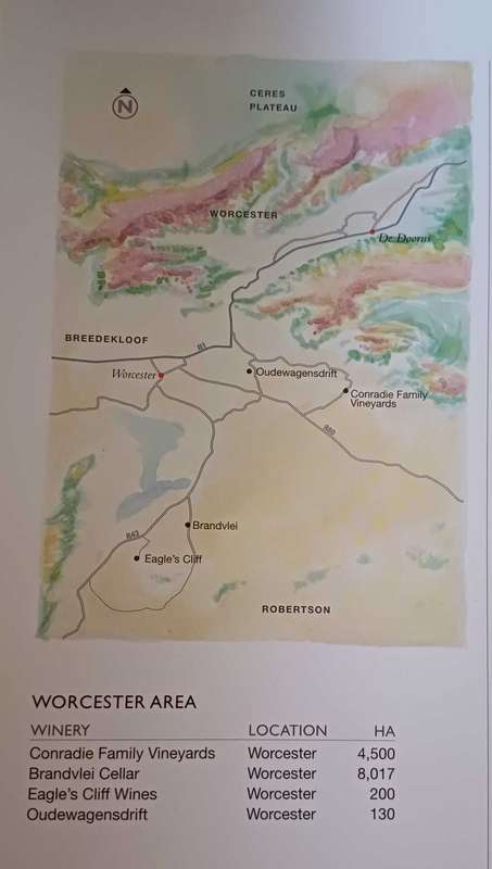 The Wine Kingdom - celebrating conservation in the Cape winelands