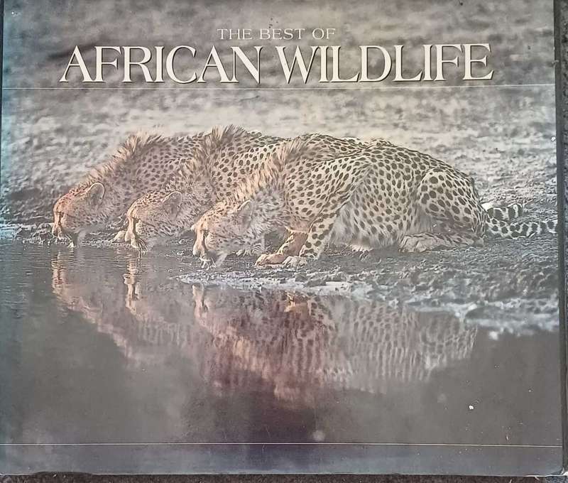 The Best of African Wildlife