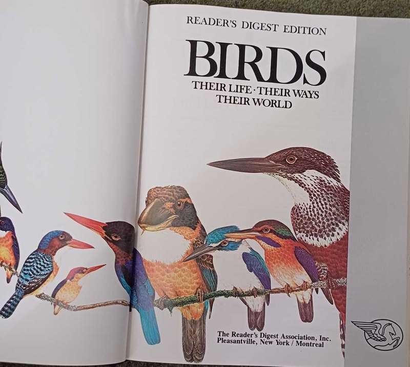 Birds - their life   their ways   their world