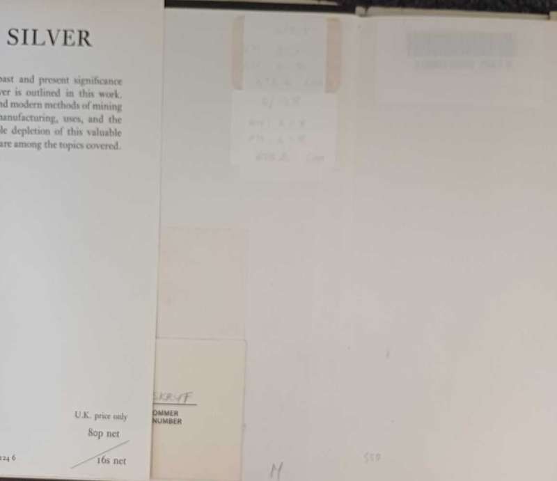 Silver - Sara Hannum Chase