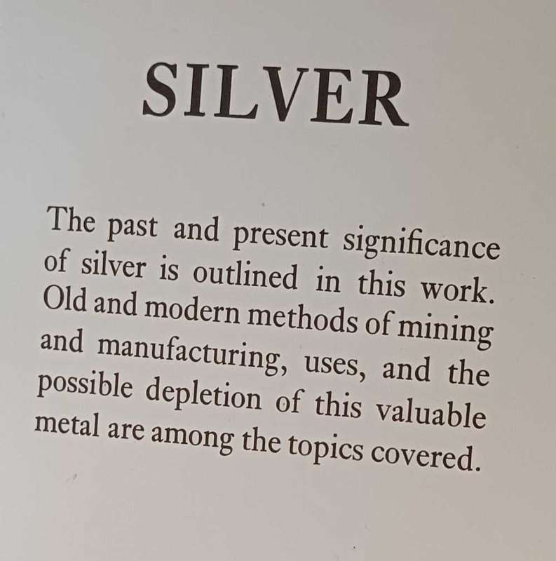 Silver - Sara Hannum Chase