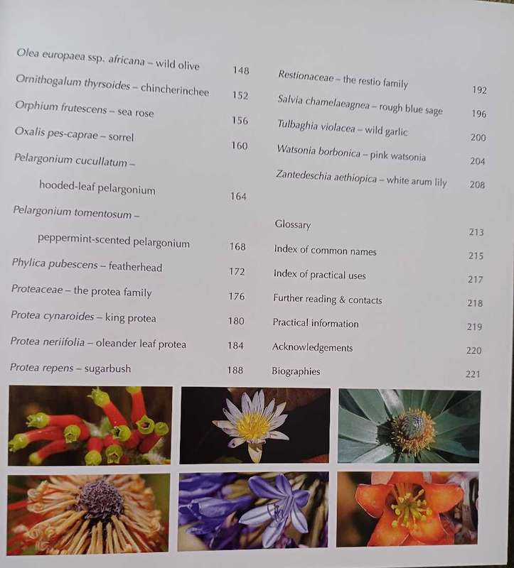 In celebration of Fynbos