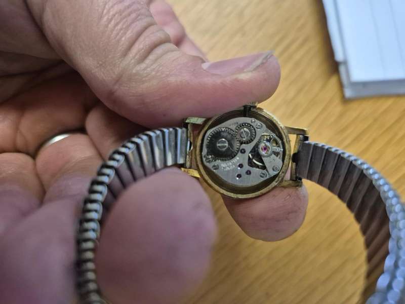 Rotary Wind Watch