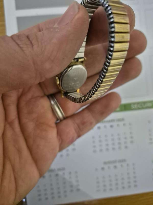 Rotary Wind Watch