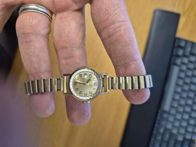 Rotary Wind Watch