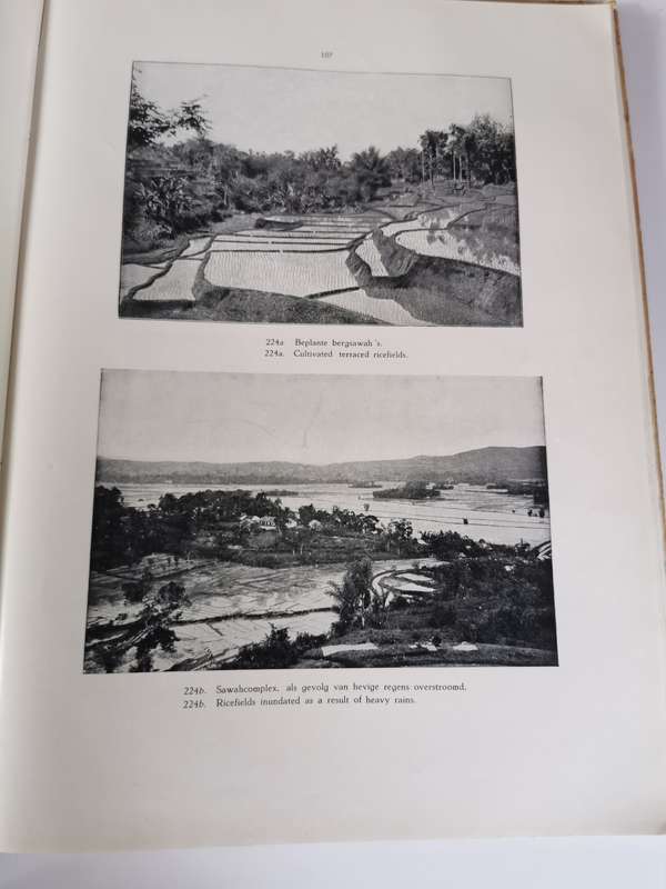 Indie in Woord en Beeld, Pictorial Netherlands * East Indies by Gent L.F.