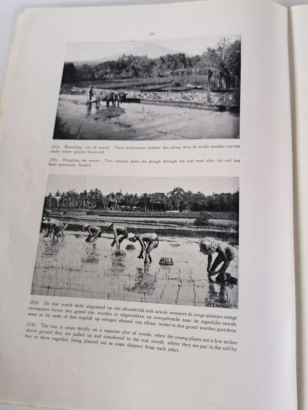 Indie in Woord en Beeld, Pictorial Netherlands * East Indies by Gent L.F.