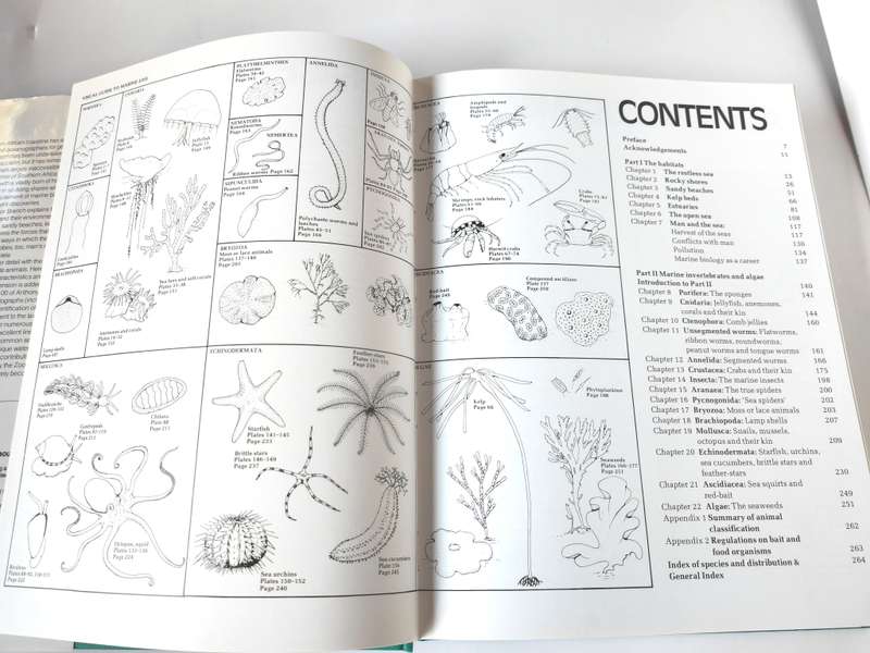 The Living Shores of Southern Africa by Margo & George Branch