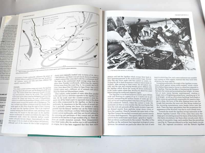 The Living Shores of Southern Africa by Margo & George Branch
