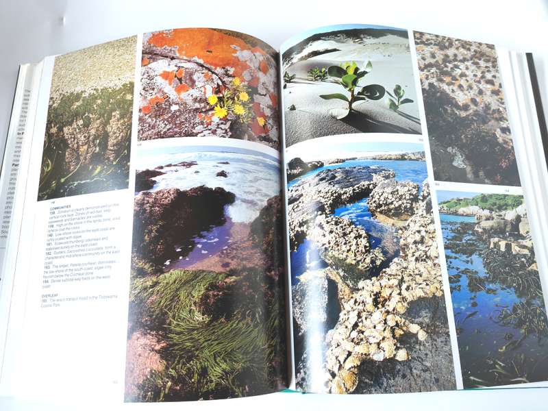 The Living Shores of Southern Africa by Margo & George Branch