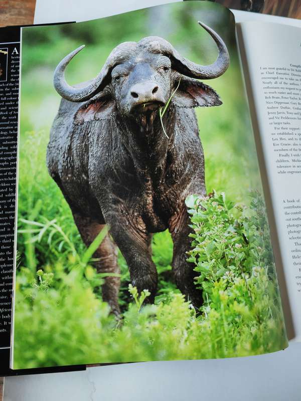 The Complete Book of Southern African Mammals by Gus Mills and Lex Hes