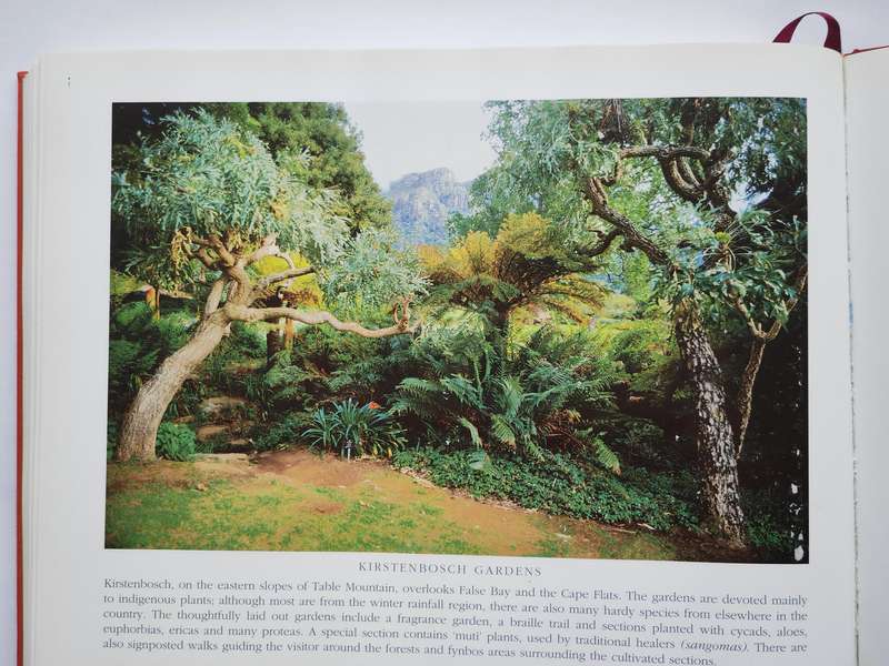 Cape Town by Gerald Hoberman