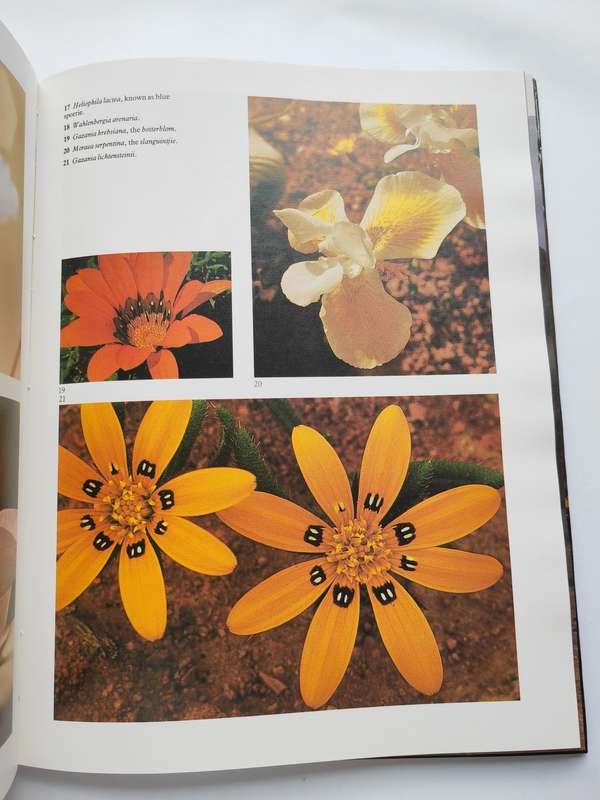 Namaqualand : Thirstland in Bloom - Chris Jansen