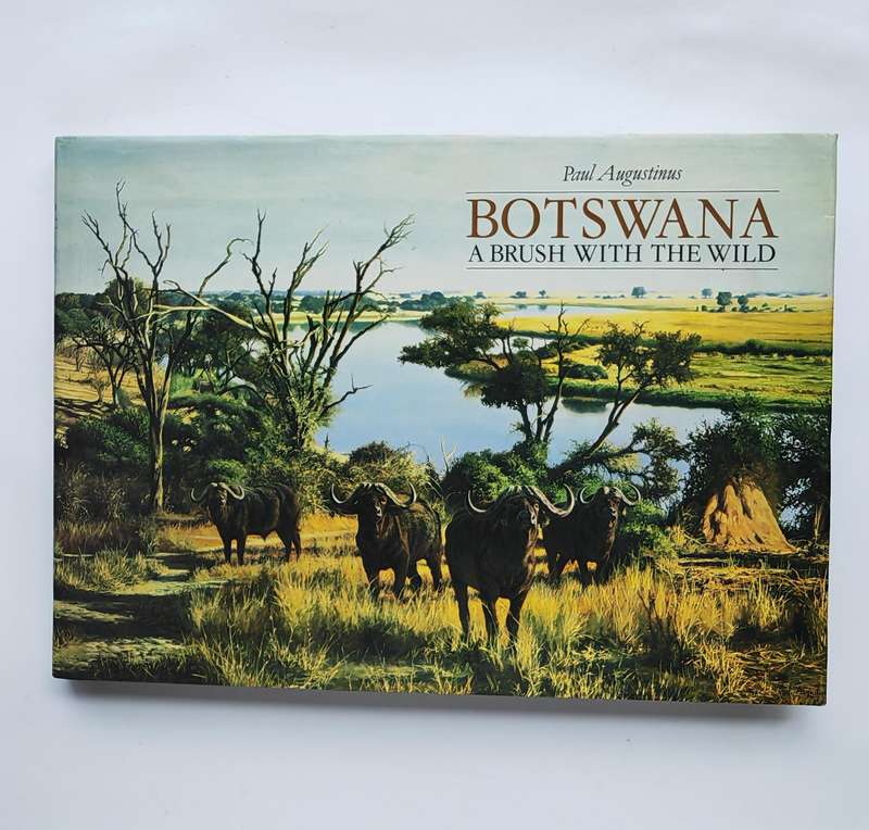 Botswana A Brush with the Wild by Paul Augustinus